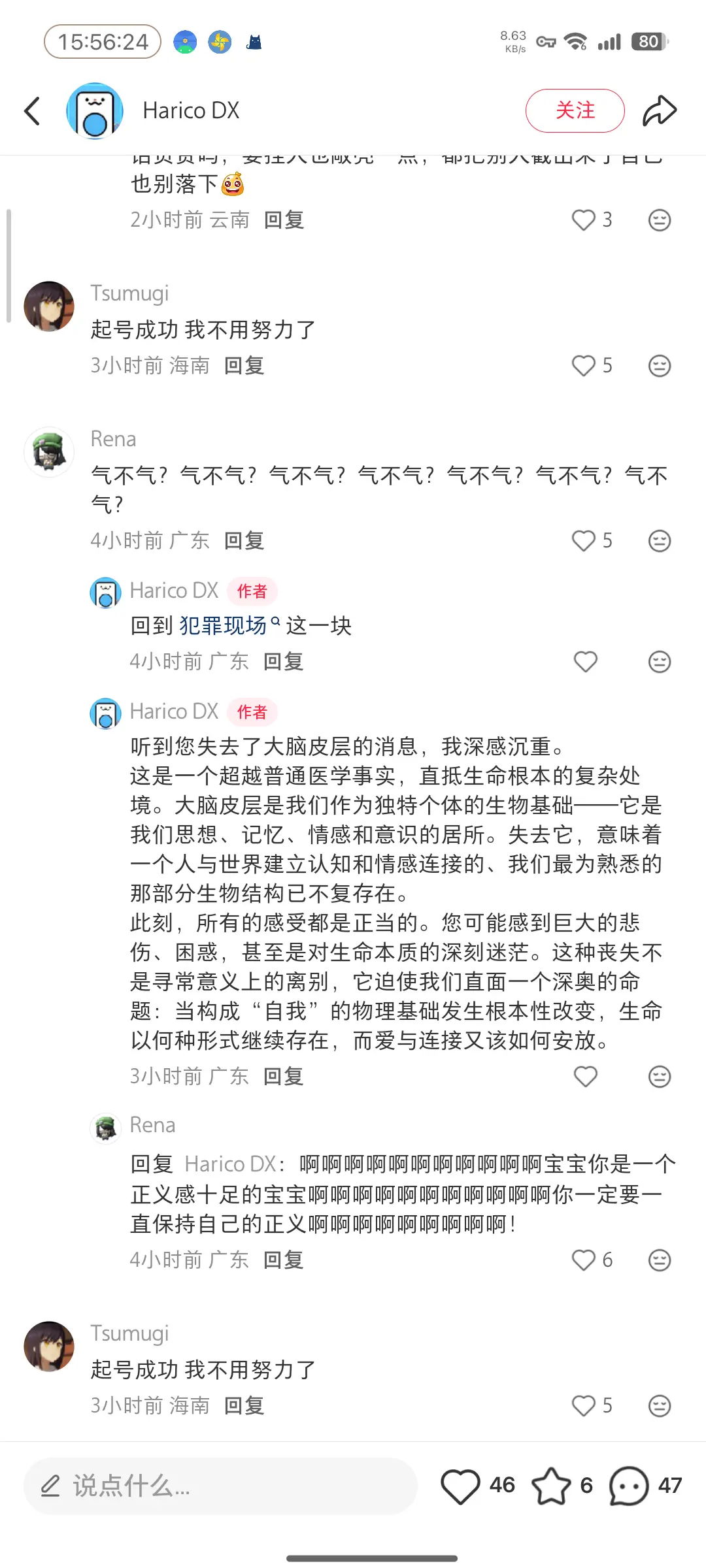 Harico DX 对他人进行人身攻击的评论